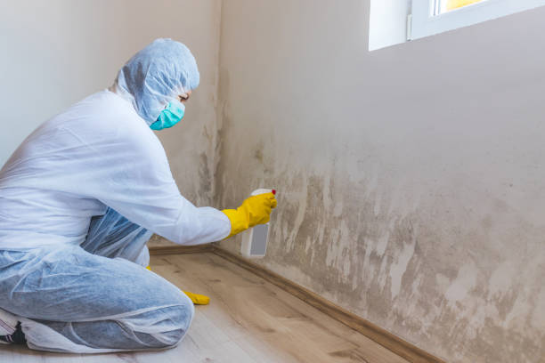 Crawl Space Mold Remediation treatment of floor joists in Osseo